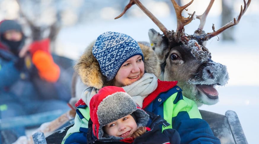 Safári de renas na floresta - Lapônia, Finlândia.