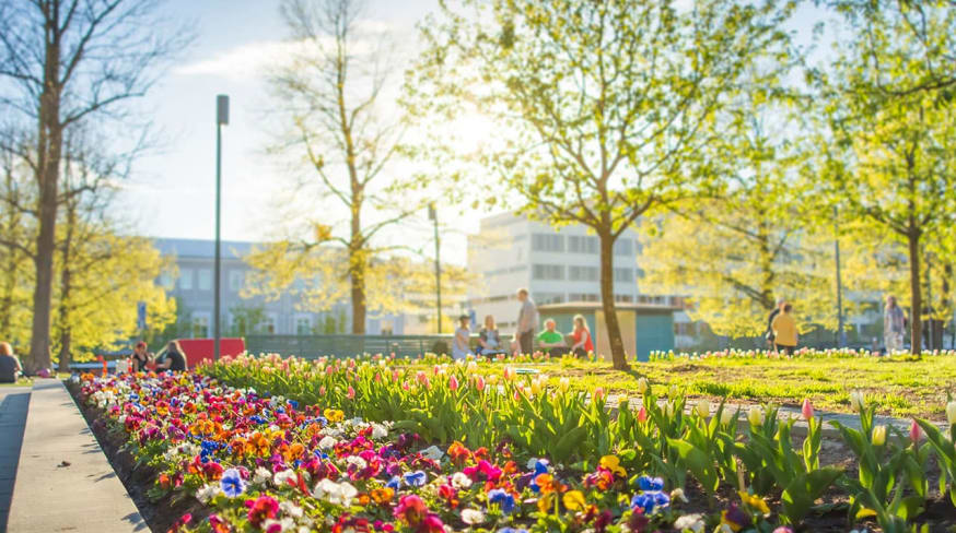 Tampere summer in city center
