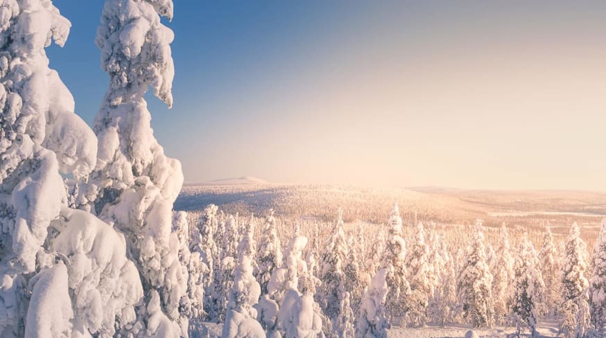 Visit finland levi arvores cobertas neve visit levi