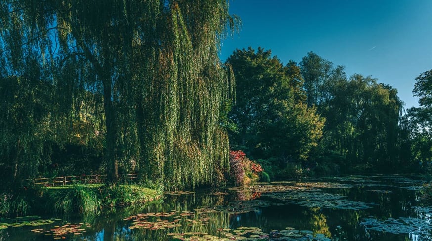 Franca giverny jardim lago arvores