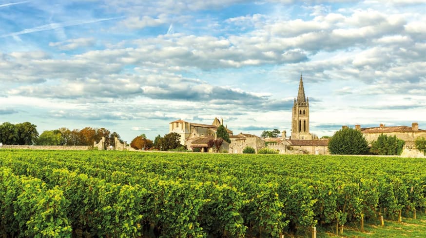 Vinhas de saint emilion bordeaux