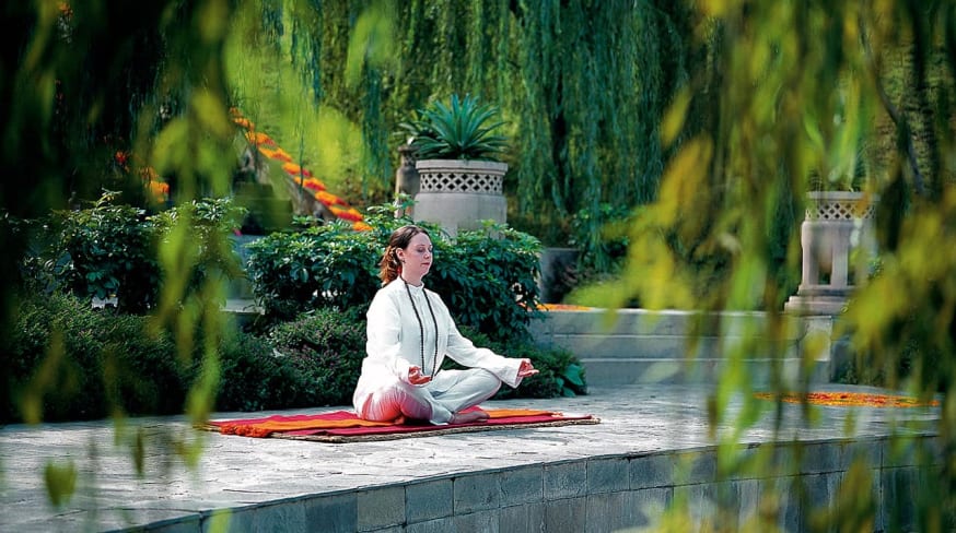 Meditacao Ananda in the Himalayas 06