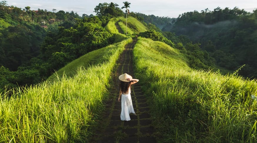 Indonesia ubud campo de arros