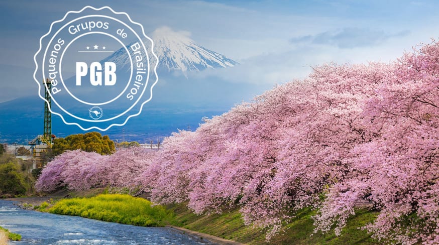 Japao cerejeira pgb
