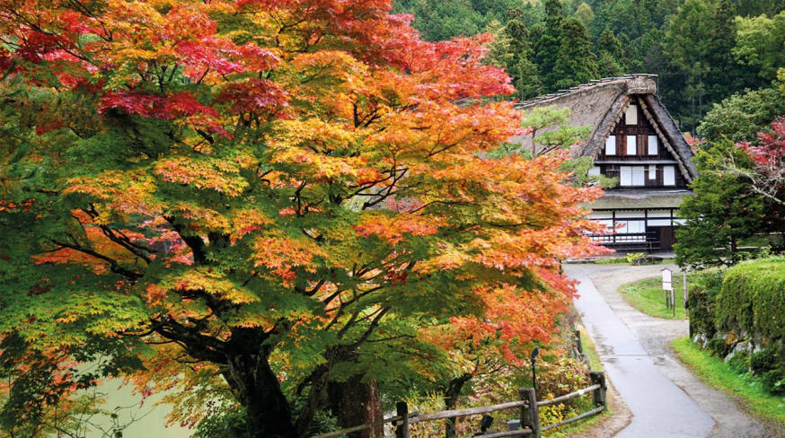 Takayama