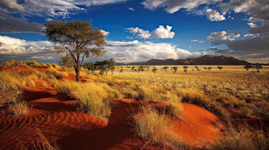Deserto