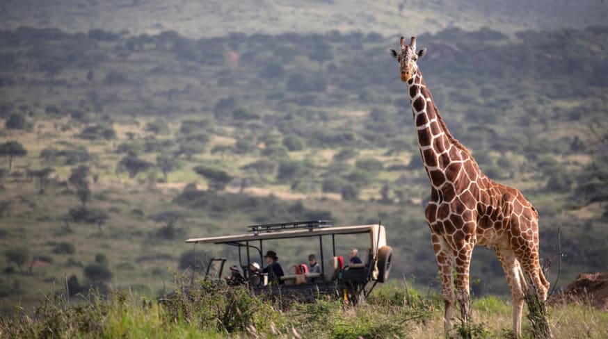 Skysafari loisaba gamedrives