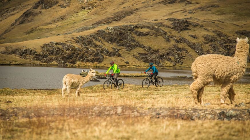 Passeios de bicicleta organizada pelo explora