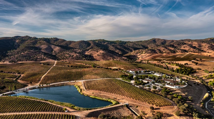 Vista aérea - Herdade do Sobroso Wine Luxury Hotel & Villas