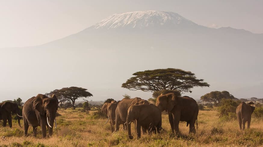Monte Kilimanjaro, Quênia
