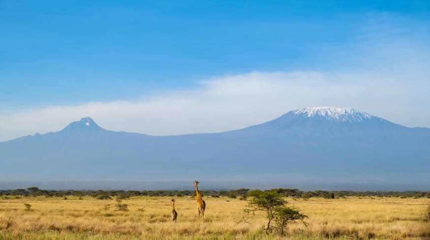 Quenia angama amboseli parque nacional