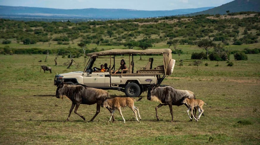 Quenia porini ol kinyei safari cottages safari carro