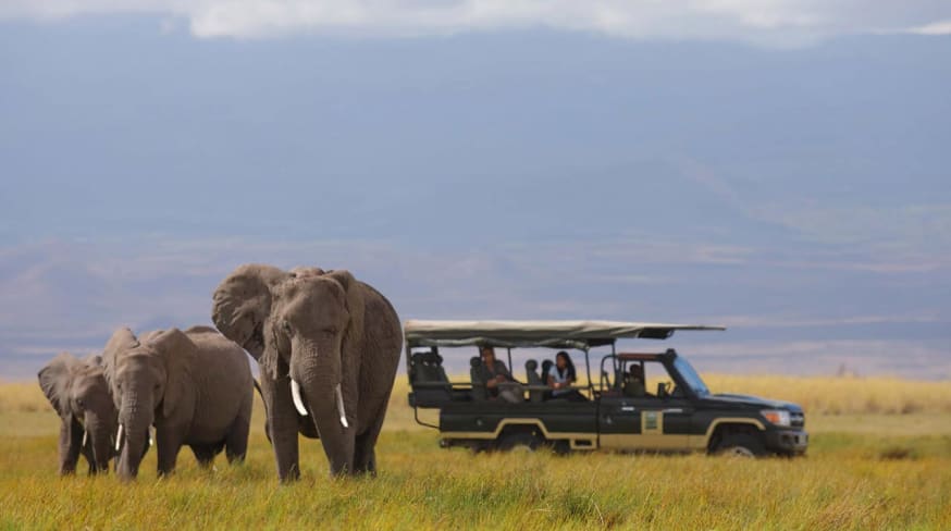 Skysafari quenia elewana tortilis camp amboseli