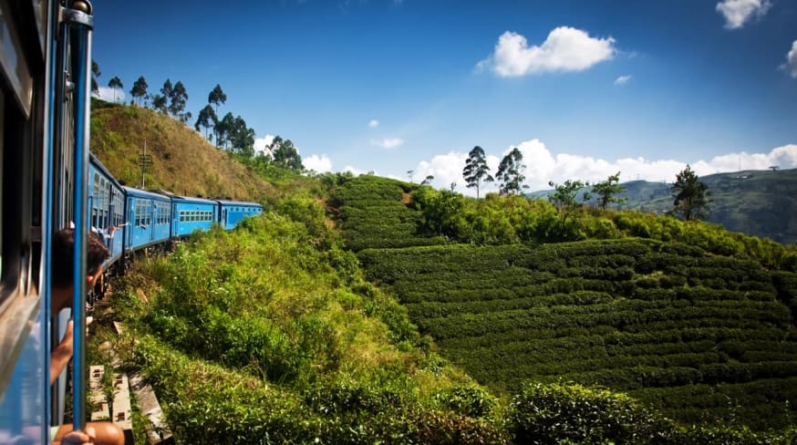 Atividades passeios trem Nuwara Eliya, Kandy