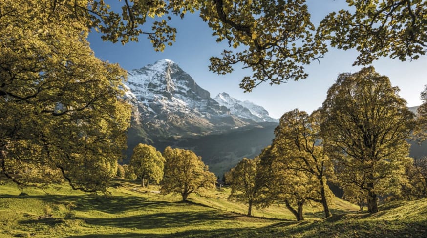 Grindelwald herbstbaeume