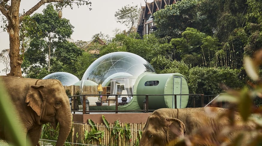 Tailandia anantara goldentriagleelephantcamp guestroom bolha elefante
