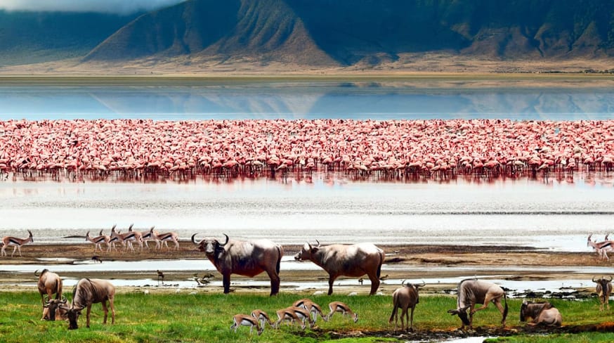 cratera de ngorongoro