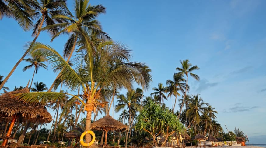 Praia Zanzibar Tanzânia