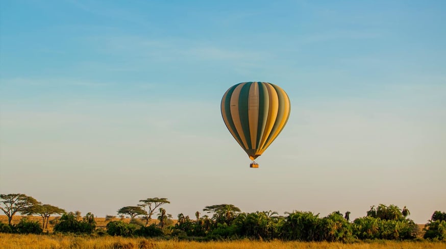 Tanzania nimali serengeti balao