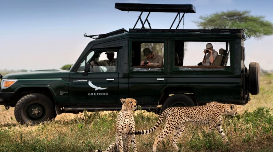 Tanzania serengeti under canvas game dribe cheetah