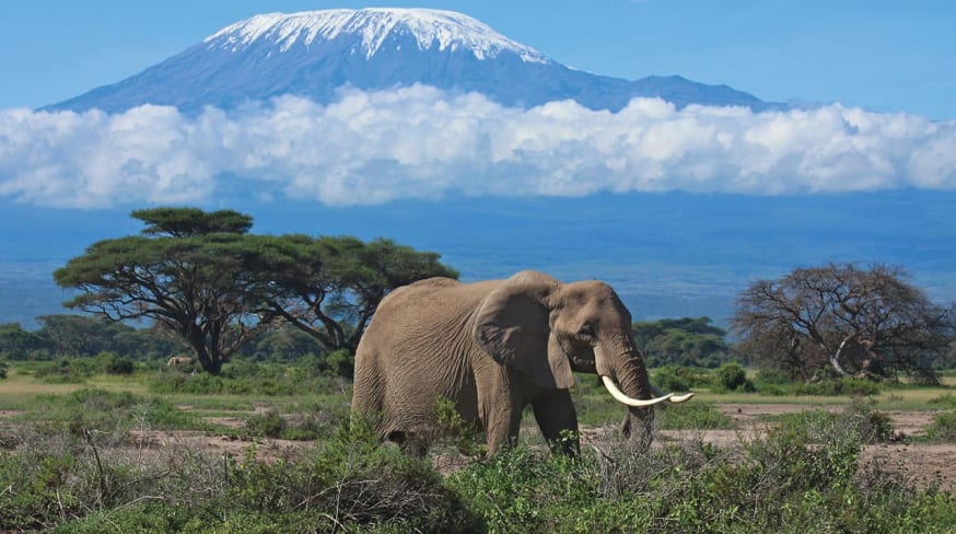 Tanzania