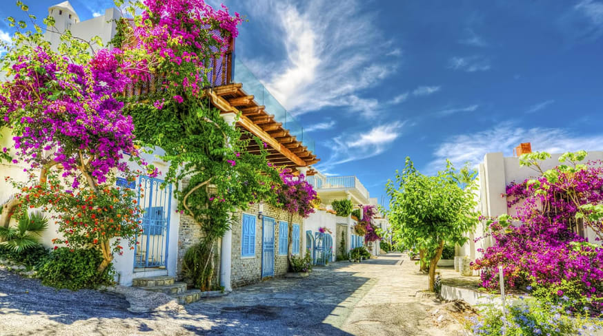 Rua de Brodum, Turquia