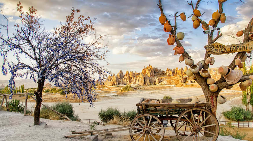 Turquia capadocia arvore dos desejos com vasos de barro
