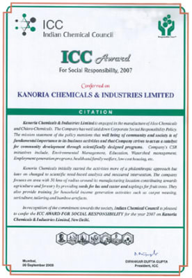 ICC Award for Social Responsibility