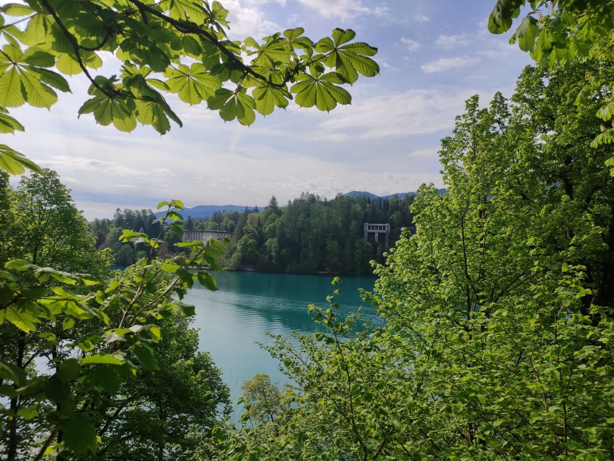 A view through spring chestnut leaves down to a quiet turquoise corner of the lake, forested banks beyond