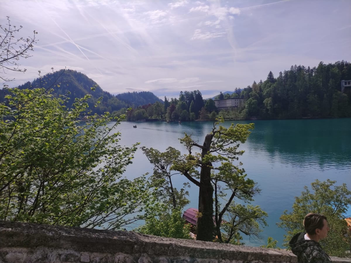 The landing stage at the foot of the island steps with three painted pletna boats waiting, the green lake and the flat-topped hill beyond