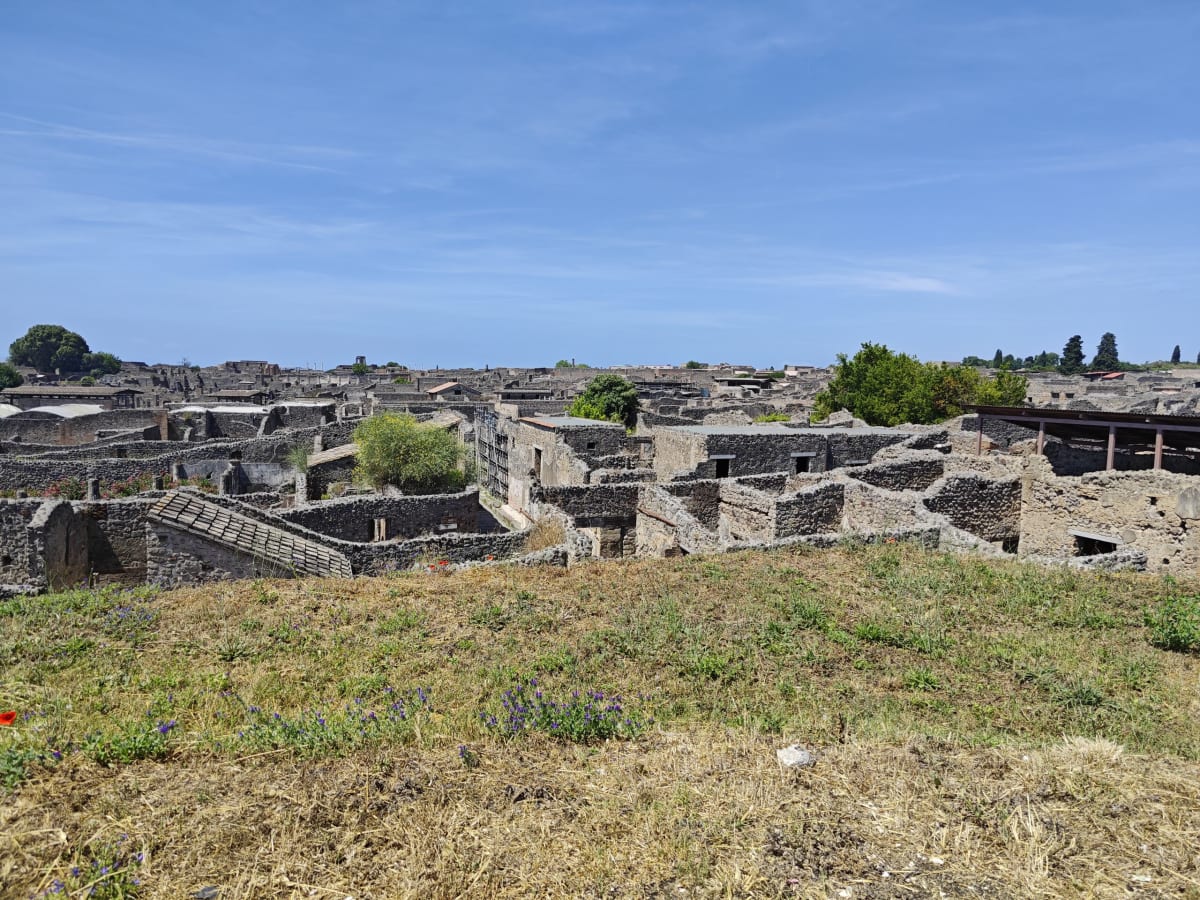 Looking out over the roofless walls and streets of Pompeii from a grassy rise, poppies in the foreground