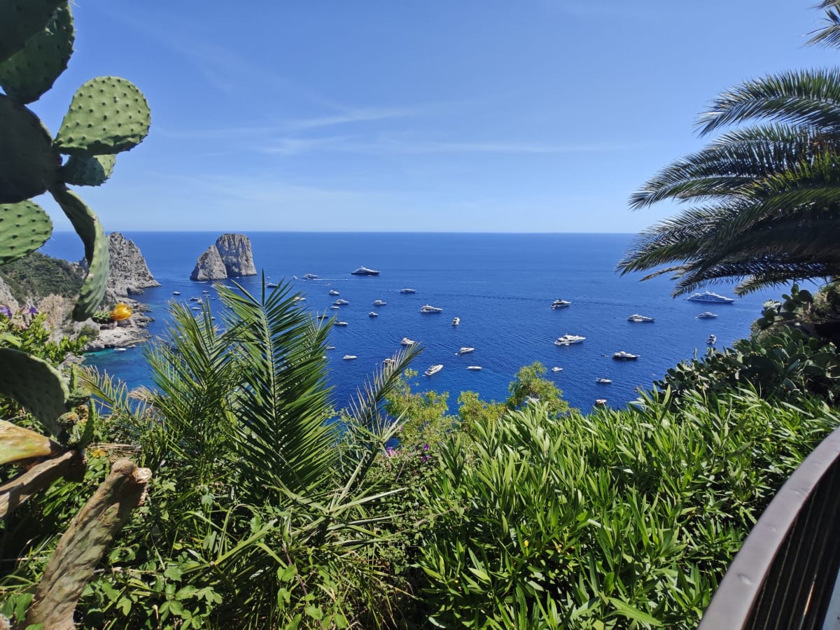 Palms and cactus framing the sea off Capri, the Faraglioni stacks standing in the distance among anchored boats