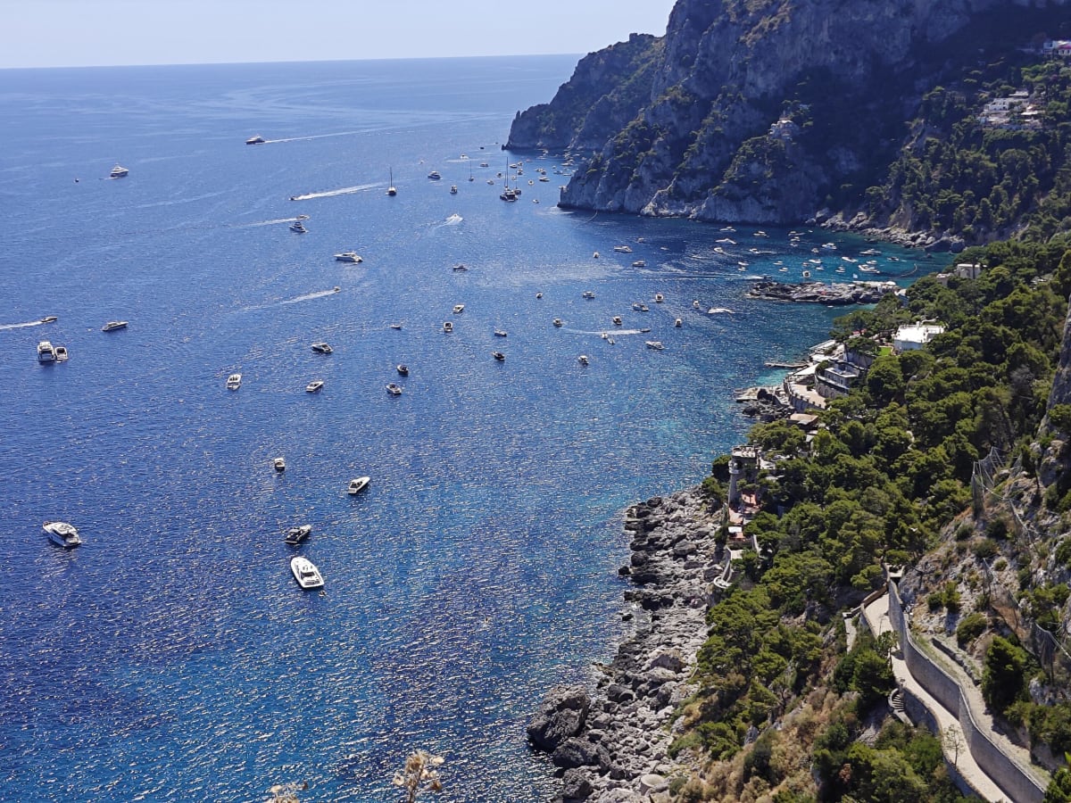 Looking down onto the bay from the cliff path on Capri, boats dotting the water beside a headland of dark pine and rock