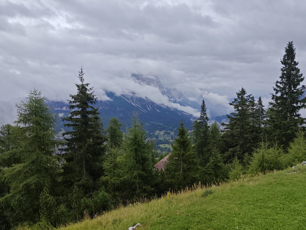 Cortina d'Ampezzo in its valley, seen through spruce and larch from a hillside meadow, cloud sitting on the peaks