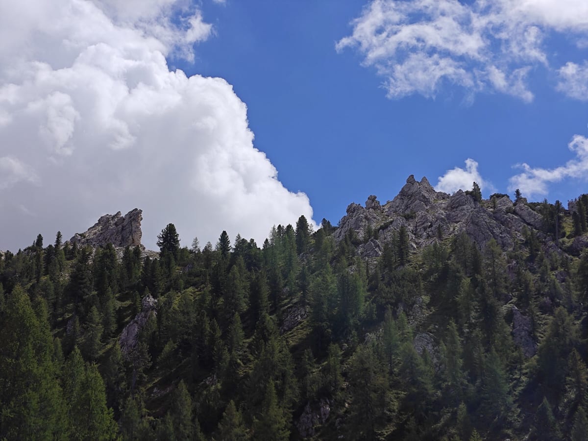 A forested ridge crowned with pale rock pinnacles under towering summer cumulus