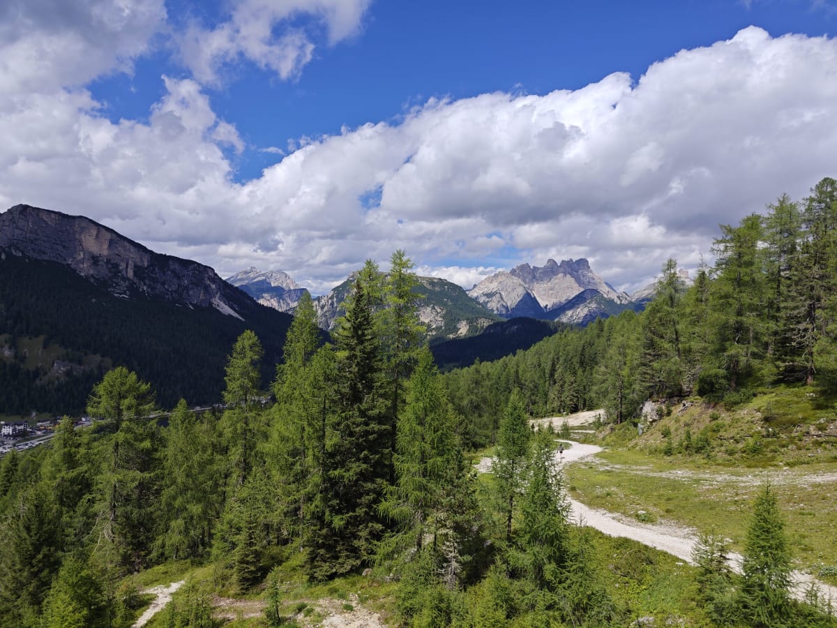 A gravel trail winding down through larch forest toward Misurina, the Cadini and Sorapiss peaks on the skyline