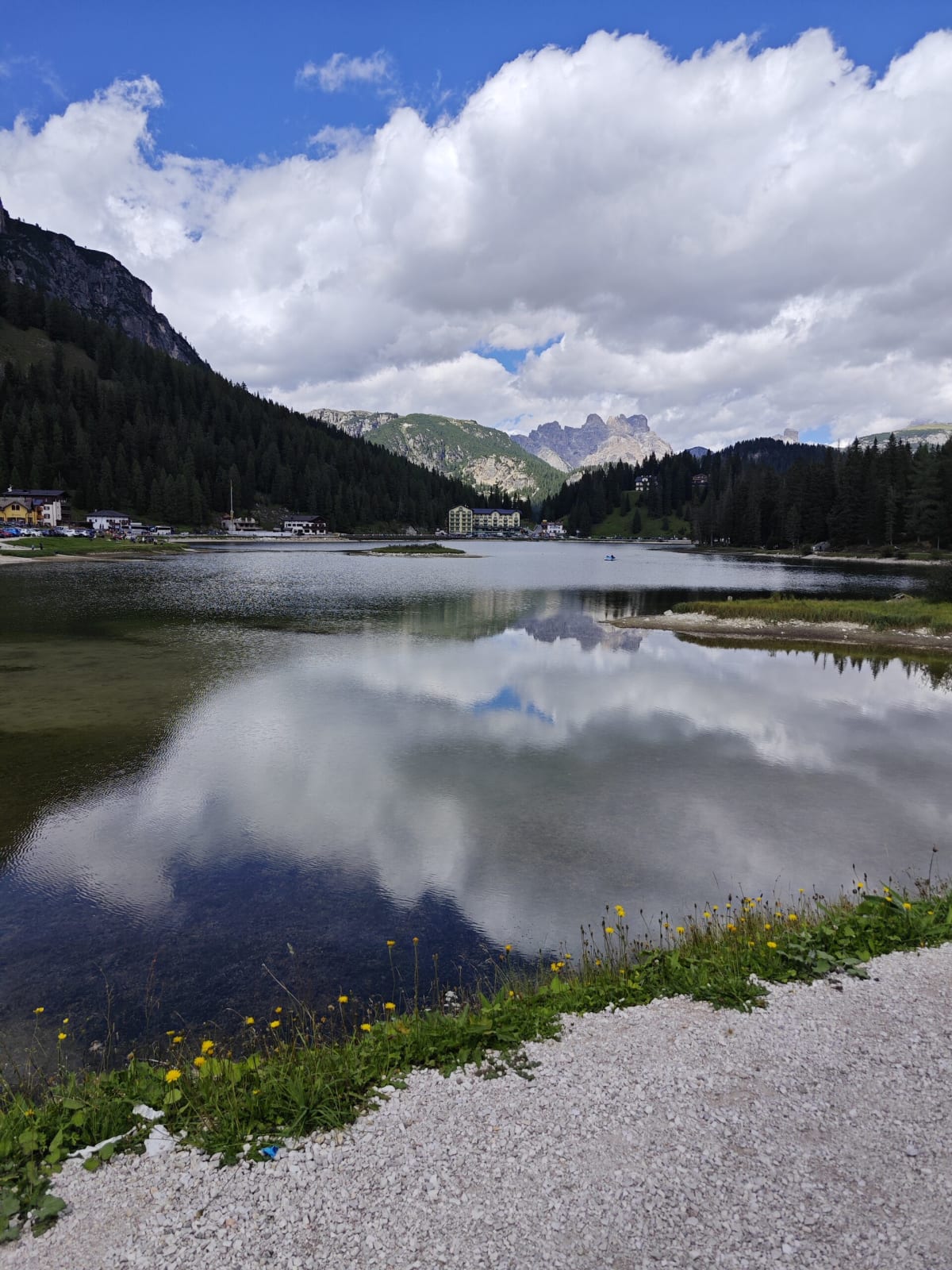 Lago di Misurina at eye level — still water mirroring the clouds, dandelions on the gravel bank, the Cadini di Misurina in the gap between wooded hills