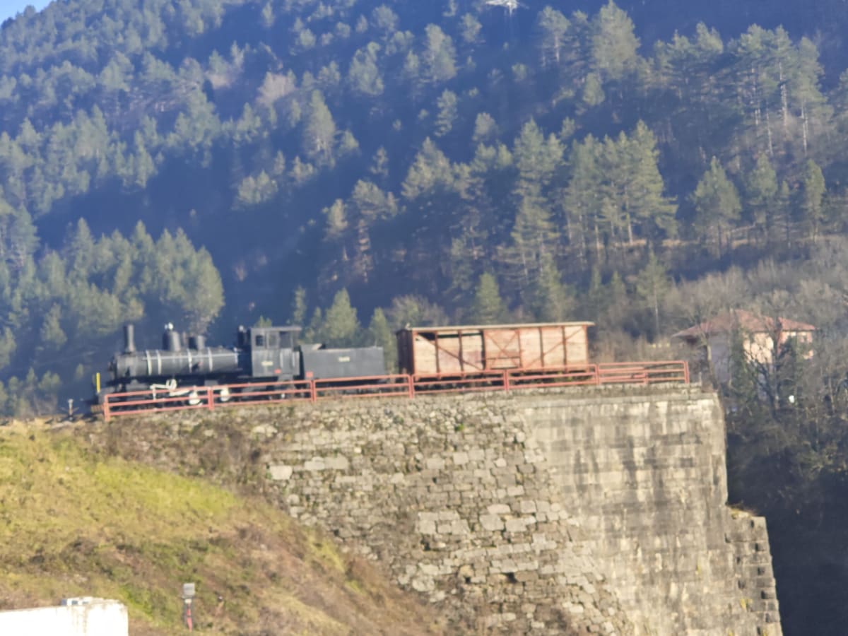 A preserved steam locomotive and a wooden freight wagon on a red-railed stone viaduct abutment, pine-covered hillside rising steeply behind