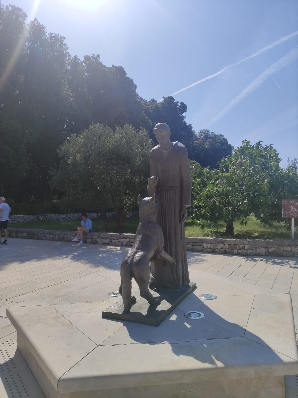 A bronze statue of St Francis of Assisi with the wolf of Gubbio rearing up against him, on a paved terrace among olive and fig trees on Košljun