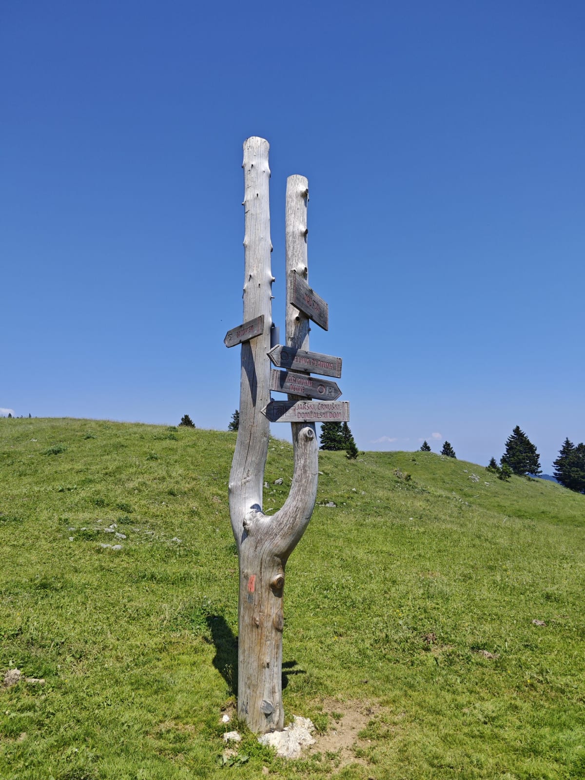 A carved wooden signpost on a grassy ridge — two silvered tree trunks with trail signs on arms — against a blue sky