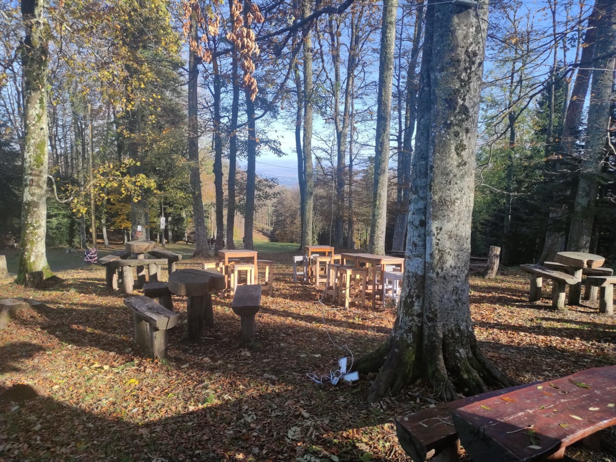 The lodge's outdoor terrace — rough-hewn log tables and benches scattered under tall beeches shedding their leaves, the plain glimpsed through the trunks