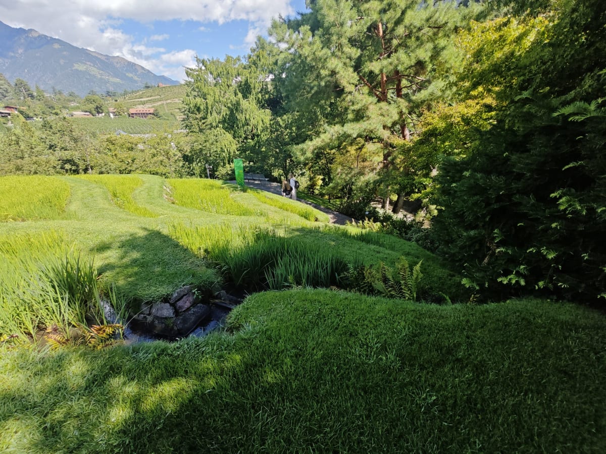 A terraced lawn and a trickling stream in the botanical gardens, dark conifers and orchards on the hillside behind