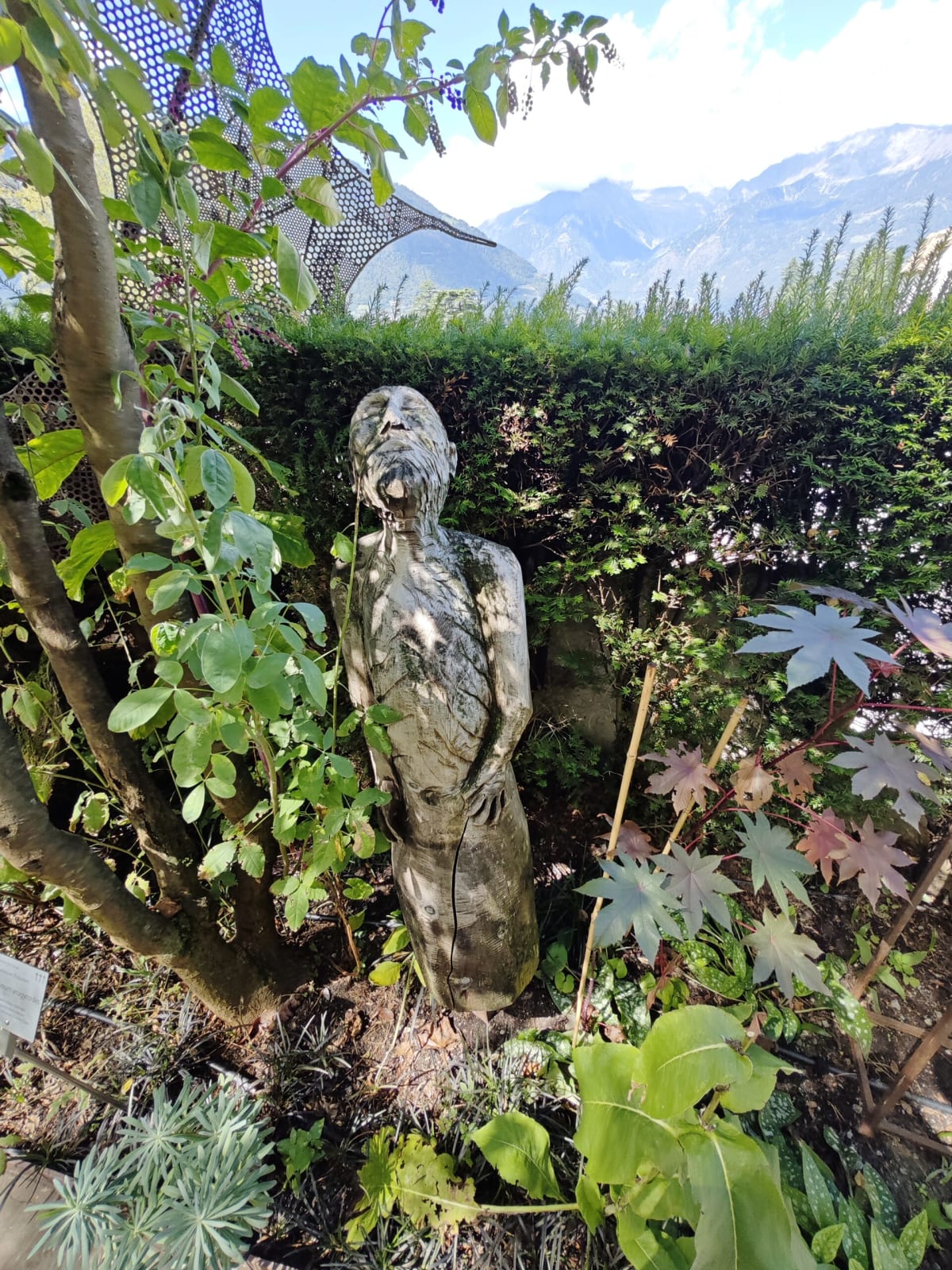 A bronze figure with a pained face standing among broadleaf plants in the garden, snow-topped mountains in the distance