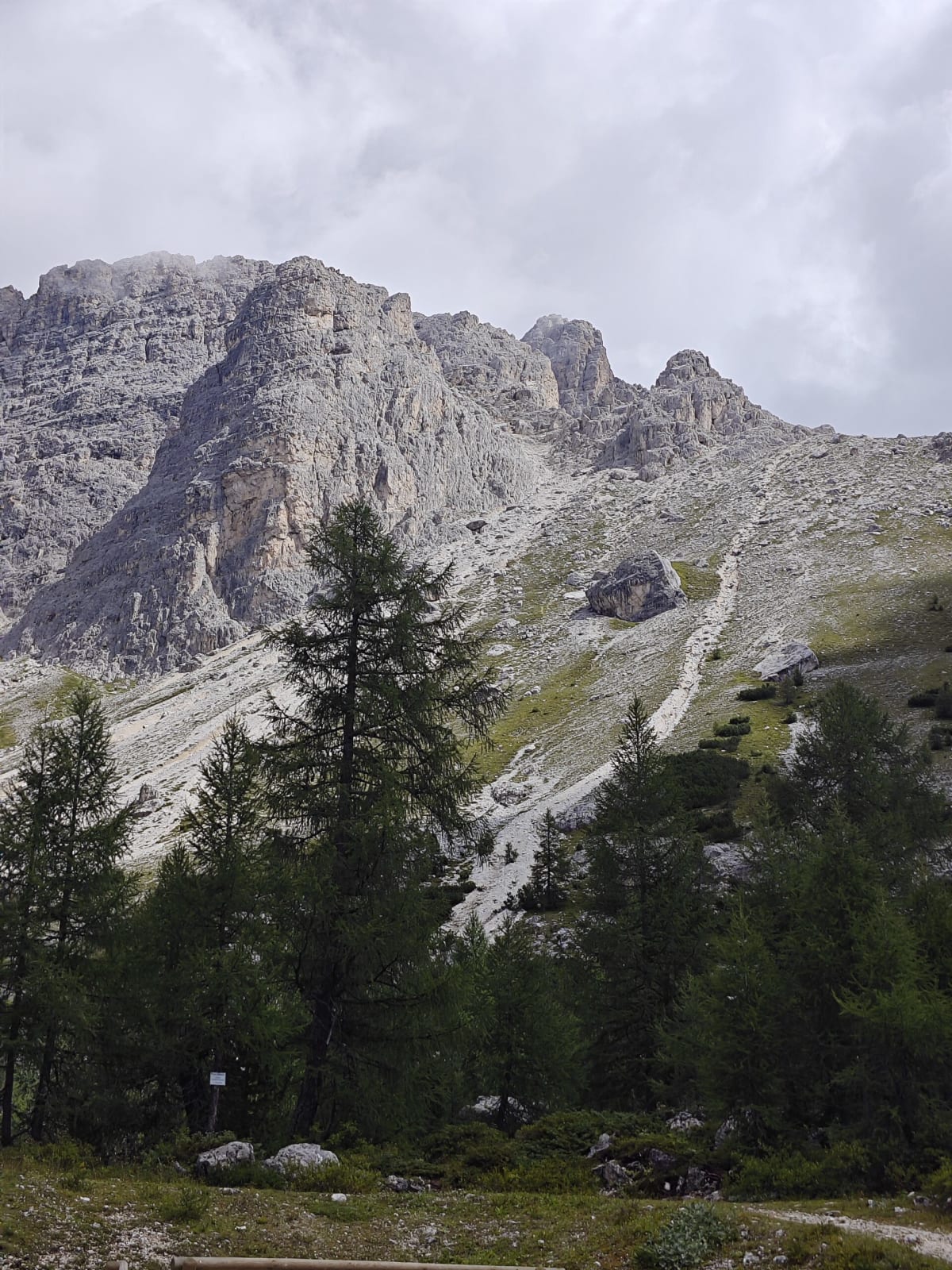 A rocky peak above a larch wood in the Dolomites, a gentle path and low trees below under a cloudy sky