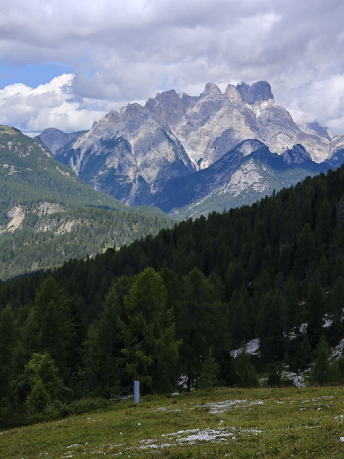 The jagged Cadini range seen over the dark forested slopes, cloud shadows moving across the rock