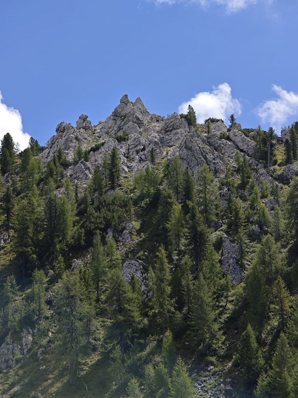 A craggy rock tower rising out of the pine woods on the mountainside, bright blue sky behind
