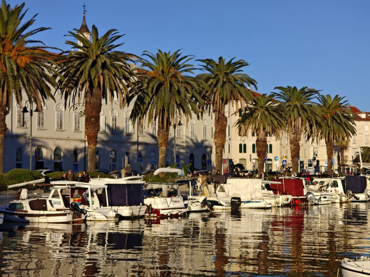 A line of tall palms along the Matejuška waterfront, lit gold by low sun, with small fishing boats moored in front of a long pale stone building and a slender bell tower behind