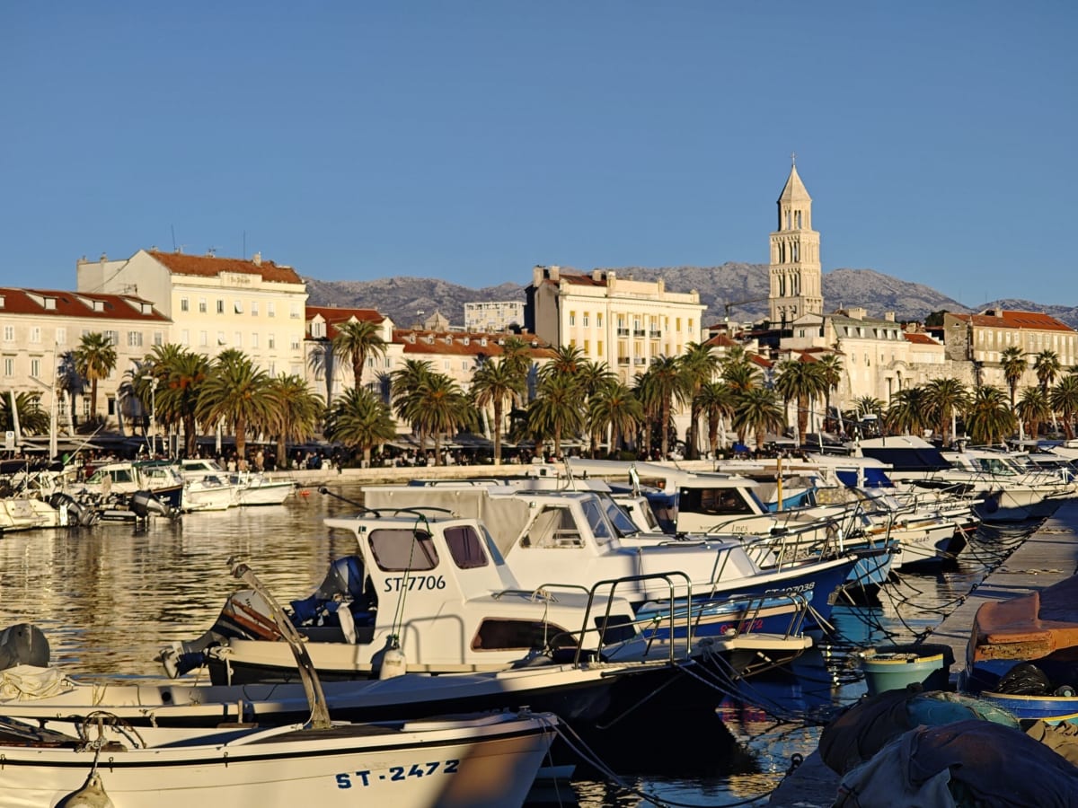 Looking east across Matejuška harbour to the Riva — white boats with ST registrations in the foreground, palms and façades along the promenade, the cathedral bell tower rising against the mountains