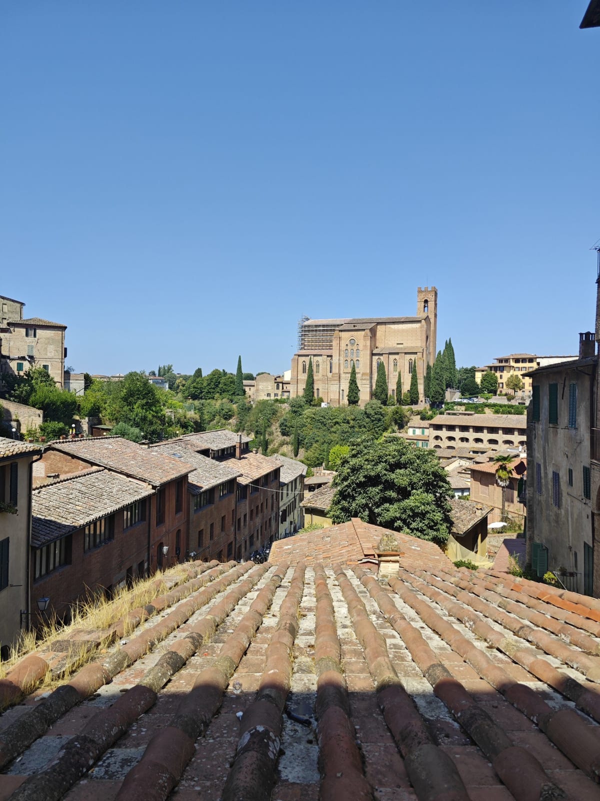 Looking over a roof of weathered terracotta tiles to a brick basilica on a green hill across the valley, Siena's old town below