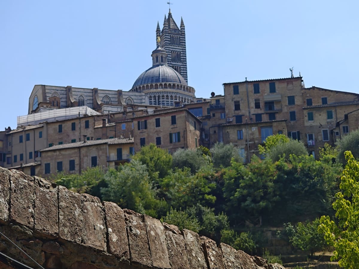 The striped dome and bell tower of Siena Cathedral rising above the tightly packed brick houses of the old town